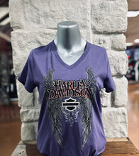 Load image into Gallery viewer, HD Pointed Wing