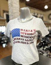 Load image into Gallery viewer, 250TH - PATRIOTIC