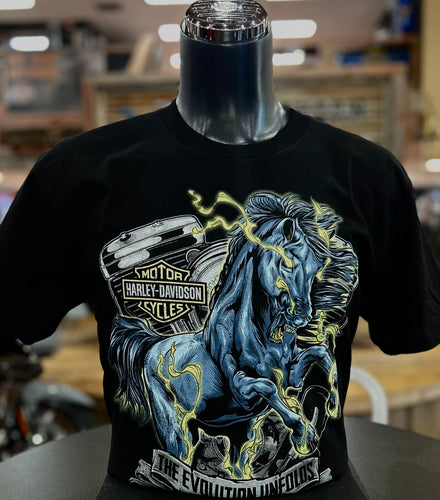 HDMC Horse Power