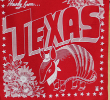 Load image into Gallery viewer, HOWDY YALL BANDANAS