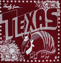 Load image into Gallery viewer, HOWDY YALL BANDANAS