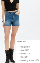 Load image into Gallery viewer, VALENTINE HIGH RISE SHORTS